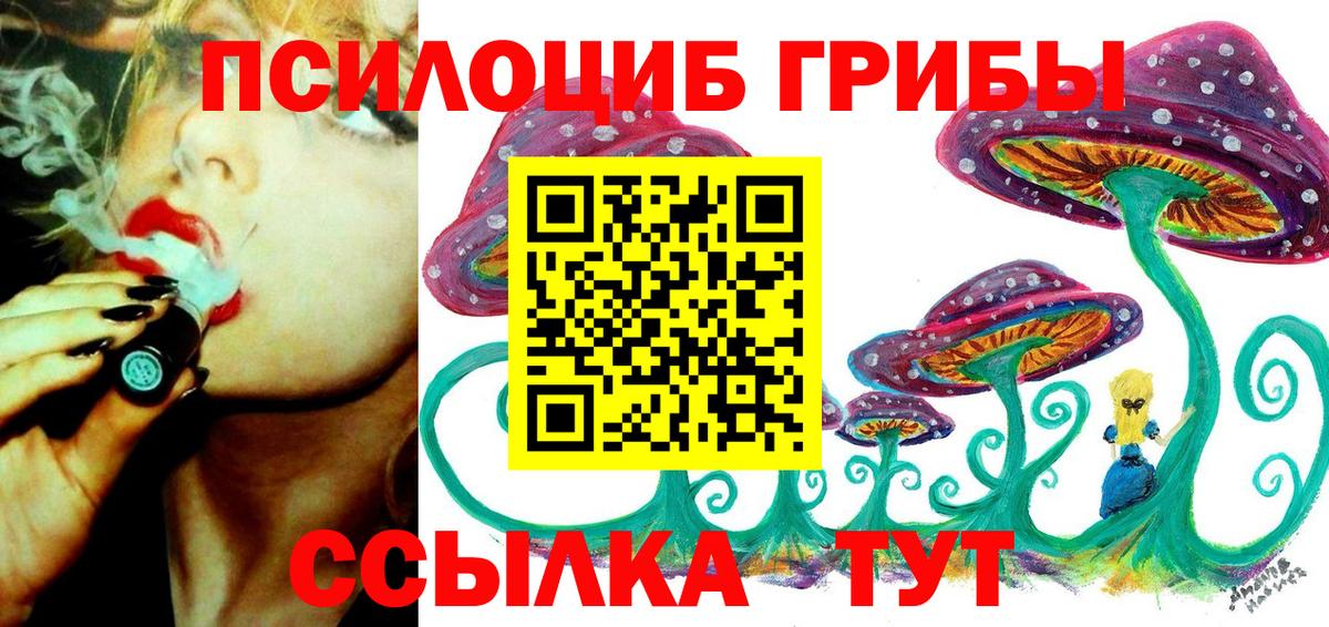 Галлюциногенные грибы мухоморы  Псилоцибиновые грибы Psilocybe  Подольск  Вход с VPN 